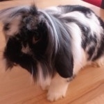 Charlie