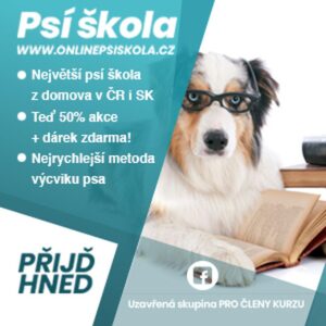 výcvik psa online