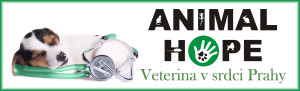Veterinární klinika Animal Hope