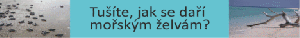 ochrana mořských želv